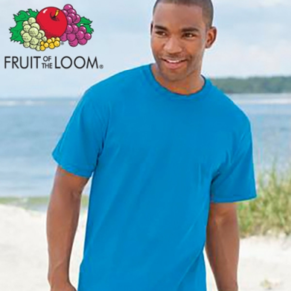 [FRUIT OF THE LOOM] 프룻오브더룸 남녀공용 무지 반팔 티셔츠 3color